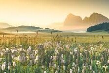 足球比分悬殊-绿茵场上的鸿沟，足球比分悬殊背后的故事